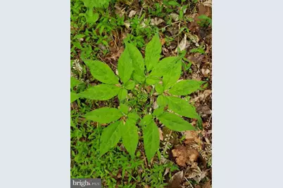 18257 Carter Lane, Brandy Station, VA 22714 - Photo 21
