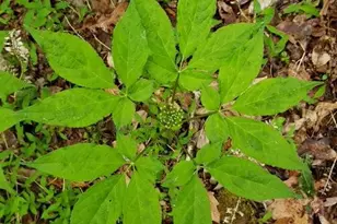 18257 Carter Ln, Brandy Station, VA 22714 - Photo 21