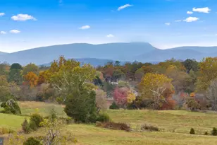 18188 Birmingham Rd, Culpeper, VA 22701 - Photo 3