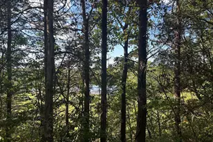 Parcel 14 Kipps Ln, Elkwood, VA 22718 - Photo 1