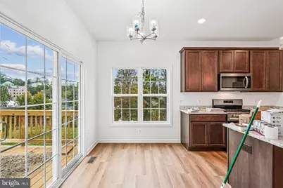 Lot 1 Eggbornsville Road, Rixeyville, VA 22737 - Photo 49