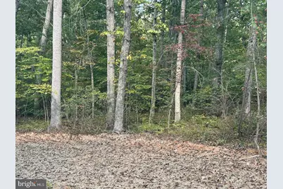 Parcel 18 Camden Lane, Elkwood, VA 22718 - Photo 1