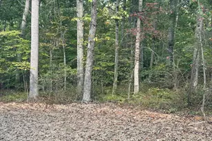 Parcel 18 Camden Ln, Elkwood, VA 22718 - Photo 1