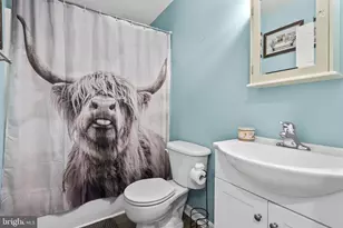 10277 River Rd, Rixeyville, VA 22737 - Photo 27