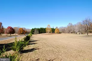 16398 Shadow Dr, Culpeper, VA 22701 - Photo 17