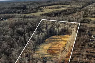 Lot 20 Rapidan Farms Dr, Lignum, VA 22726 - Photo 1