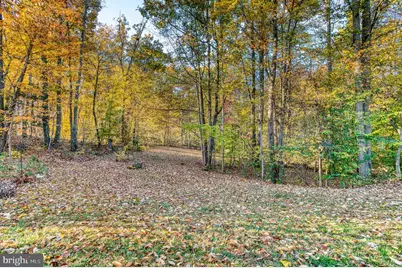 24552 Eleys Ford Road, Lignum, VA 22726 - Photo 15