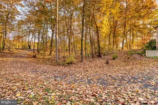 24552 Eleys Ford Rd, Lignum, VA 22726 - Photo 17