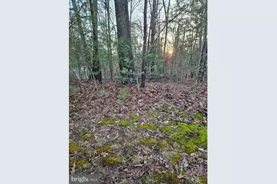 291 Land Or Drive, Ruther Glen, VA 22546 - Photo 5