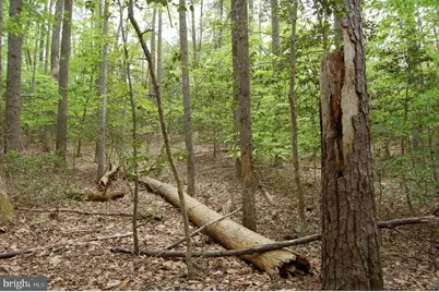 000 Tidewater Trail, Rappahannock Academy, VA 22538 - Photo 43
