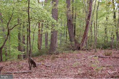 000 Tidewater Trail, Rappahannock Academy, VA 22538 - Photo 39