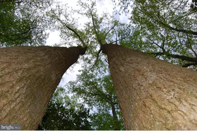 000 Tidewater Trail, Rappahannock Academy, VA 22538 - Photo 7