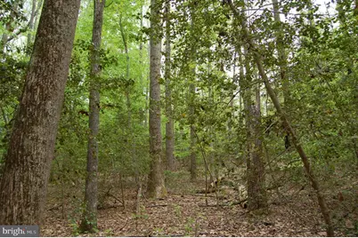 000 Tidewater Trail, Rappahannock Academy, VA 22538 - Photo 1