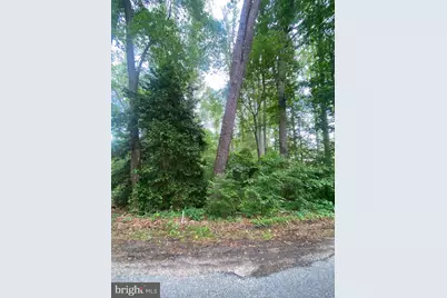 Dry Bridge Rd, Ruther Glen, VA 22546 - Photo 1