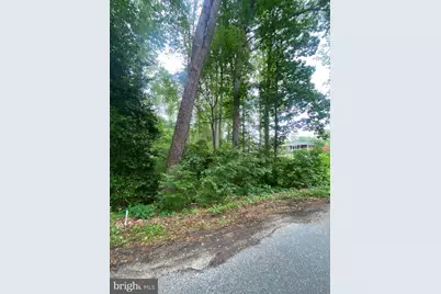 Dry Bridge Rd, Ruther Glen, VA 22546 - Photo 3