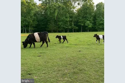 23348 Tidewater Trail, Rappahannock Academy, VA 22538 - Photo 89