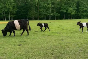 23348 Tidewater Trail, Rappahannock Academy, VA 22538 - Photo 89