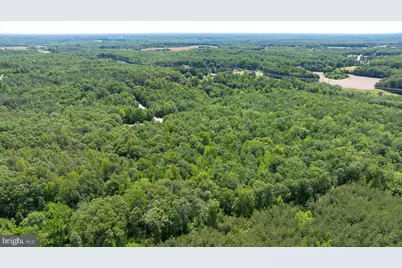 Lot 2 Golansville Rd, Ruther Glen, VA 22546 - Photo 3