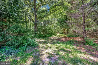 8418 Fredericksburg Turnpike, Woodford, VA 22580 - Photo 37