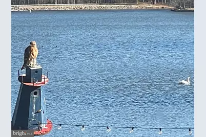 373 Land Or Drive, Ruther Glen, VA 22546 - Photo 23