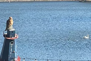 373 Land Or Dr, Ruther Glen, VA 22546 - Photo 23