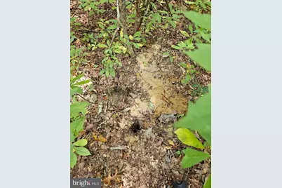 00 Off Of Long Branch Road, Woodford, VA 22580 - Photo 7