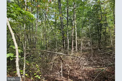 00 Off Of Long Branch Road, Woodford, VA 22580 - Photo 19