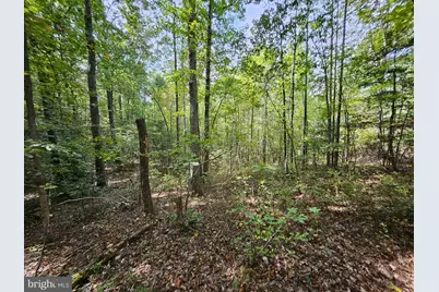 00 Off Of Long Branch Road, Woodford, VA 22580 - Photo 15