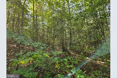 00 Off Of Long Branch Road, Woodford, VA 22580 - Photo 25