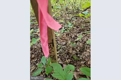 00 Off Of Long Branch Road, Woodford, VA 22580 - Photo 9