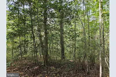 00 Off Of Long Branch Road, Woodford, VA 22580 - Photo 17