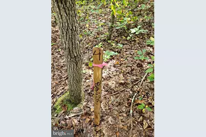 00 Off Of Long Branch Road, Woodford, VA 22580 - Photo 5