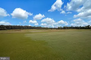 18379 Hewes Ter, Ruther Glen, VA 22546 - Photo 71