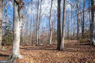 26335 Hill Rd, Ruther Glen, VA 22546 - Photo 27