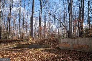 26335 Hill Rd, Ruther Glen, VA 22546 - Photo 23