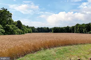 2459 Dunbrooke Rd, Tappahannock, VA 22560 - Photo 81