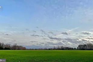 2459 Dunbrooke Rd, Tappahannock, VA 22560 - Photo 113