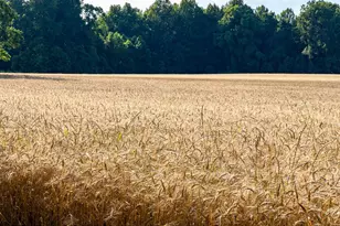 2459 Dunbrooke Rd, Tappahannock, VA 22560 - Photo 85