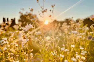 2459 Dunbrooke Rd, Tappahannock, VA 22560 - Photo 117