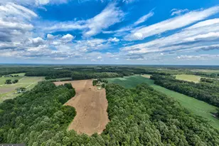 2459 Dunbrooke Rd, Tappahannock, VA 22560 - Photo 109