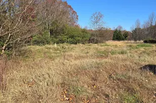 1715 William St, Fredericksburg, VA 22401 - Photo 1