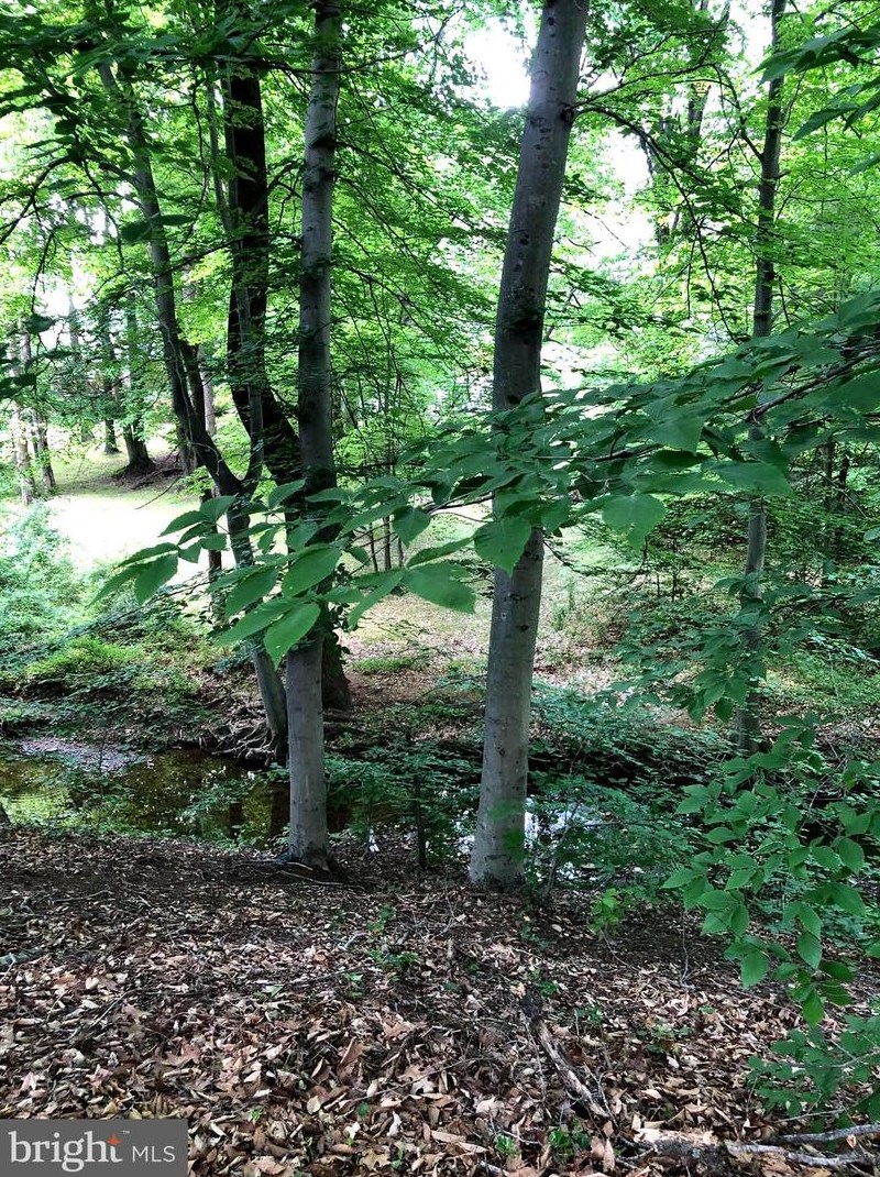 10120 Spring Lake Ter, Fairfax VA  22030-2038 exterior