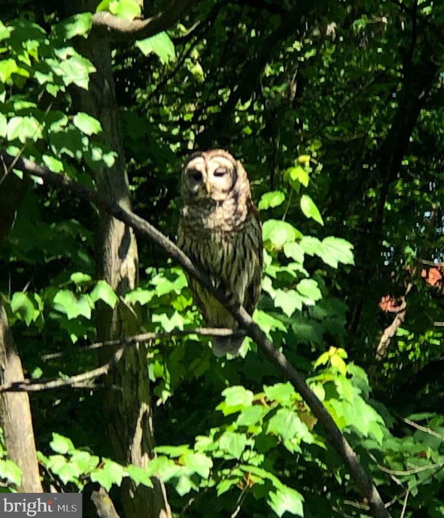 10120 Spring Lake Ter, Fairfax VA  22030-2038 exterior