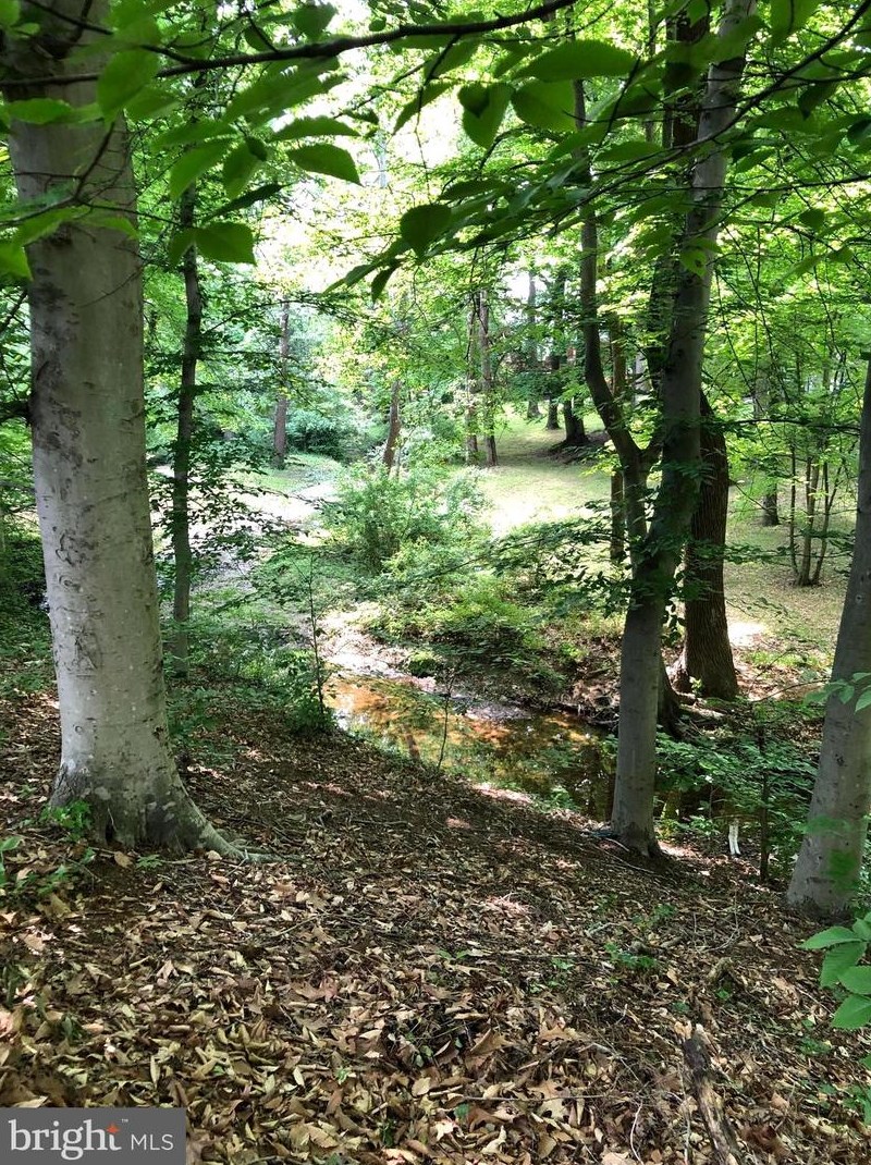 10120 Spring Lake Ter, Fairfax VA  22030-2038 exterior