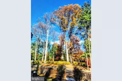 10833 Warwick Avenue, Fairfax, VA 22030 - Photo 17