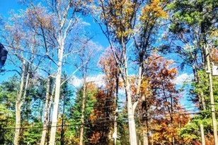 10833 Warwick Ave, Fairfax, VA 22030 - Photo 17