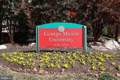 10404 Forest Avenue, Fairfax, VA 22030 - Photo 33