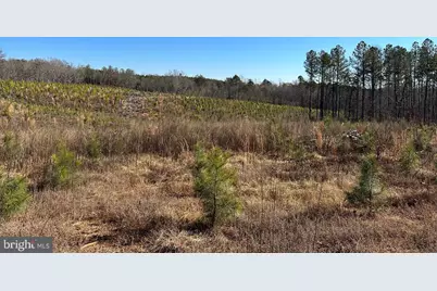 Old Driver Hill Road (Tract: H.M. Duval-1), Scottsville, VA 24590 - Photo 13