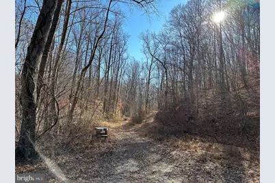 Old Driver Hill Road (Tract: H.M. Duval-1), Scottsville, VA 24590 - Photo 9