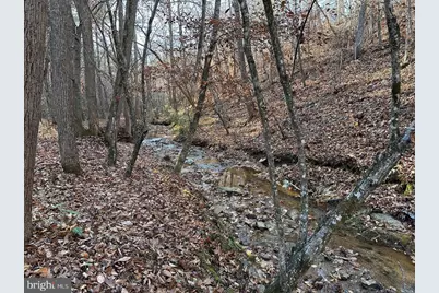 Old Driver Hill Road (Tract: H.M. Duval-1), Scottsville, VA 24590 - Photo 5